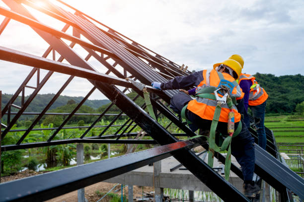 Best Roof Gutter Cleaning  in New Berlin, IL