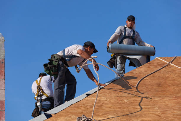 Roof Gutter Cleaning in New Berlin, IL